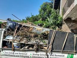 Best Residential Junk Removal  in Lyles, TN